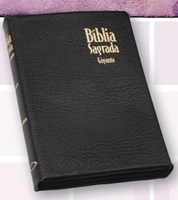 Bíblia Letra Gigante com fecho e índice digital