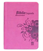 Bíblia Sagrada Dn 44cti