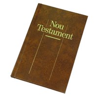 Novo testamento Catalão