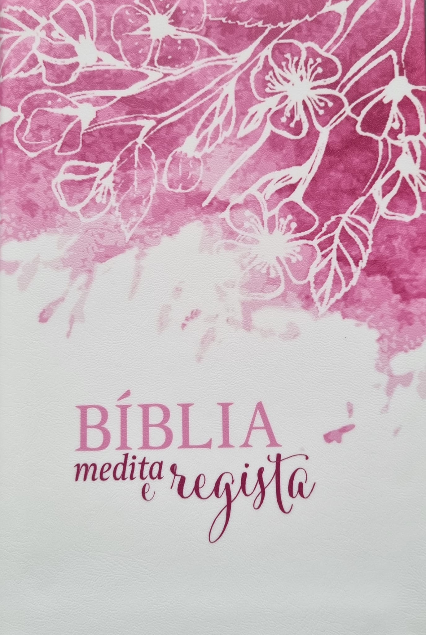 Bíblia Sagrada Medita e Regista