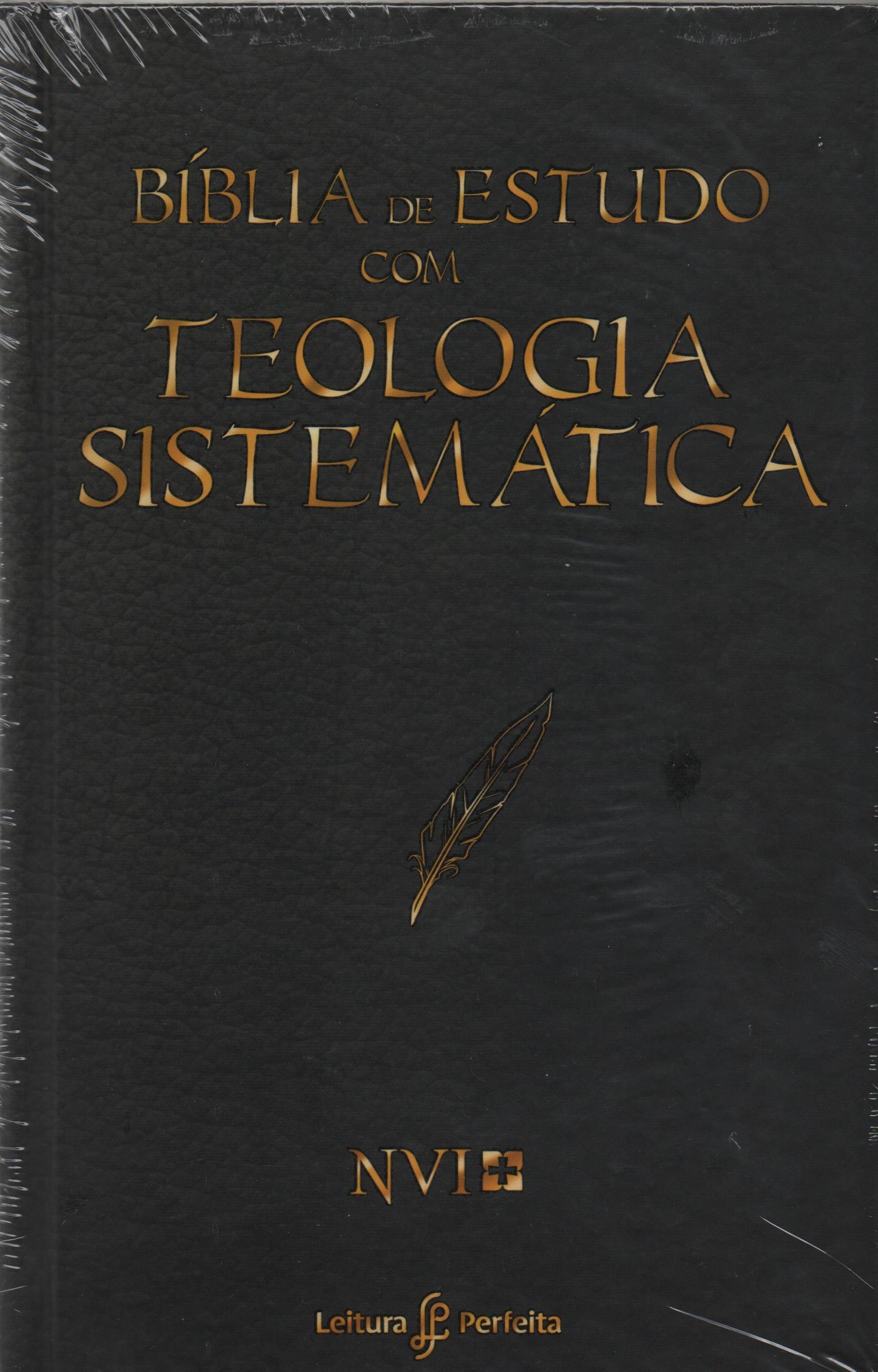 Bíblia de estudo com teologia sistemática