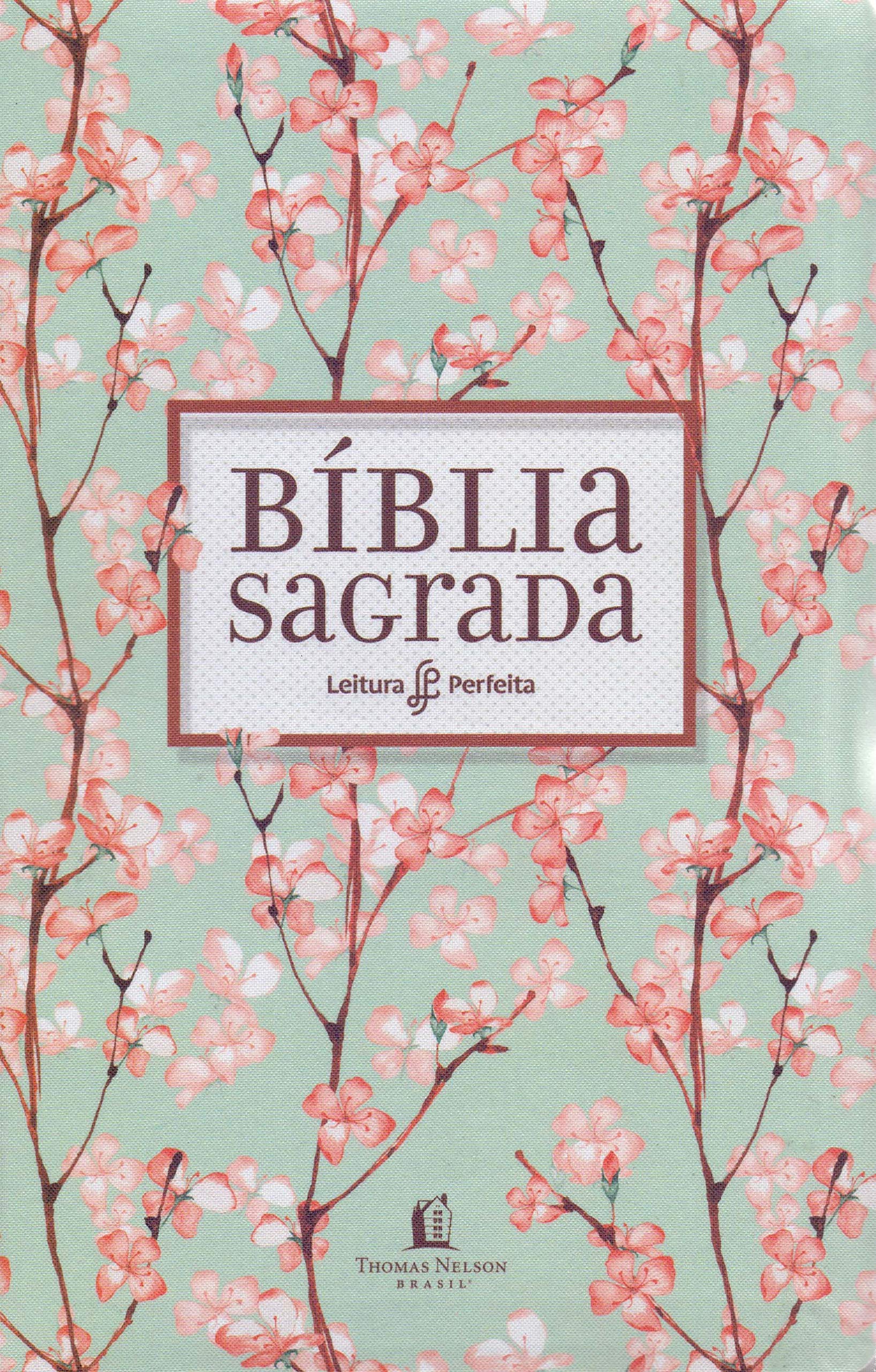 Featured image of post Capa Da B blia Sagrada Para Imprimir Na tradu o almeida revista e atualizada esta edi o da b blia sagrada por seu valor acess vel ideal para a es de evangeliza o