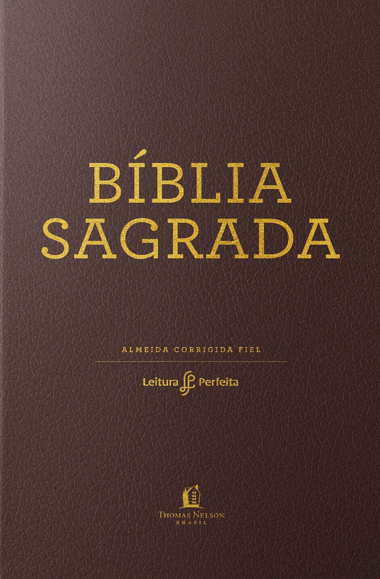 Bíblia Sagrada ACF capa flexível castanha e beiras douradas